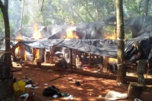 Decomisan 12 toneladas de marihuana en Paraguay