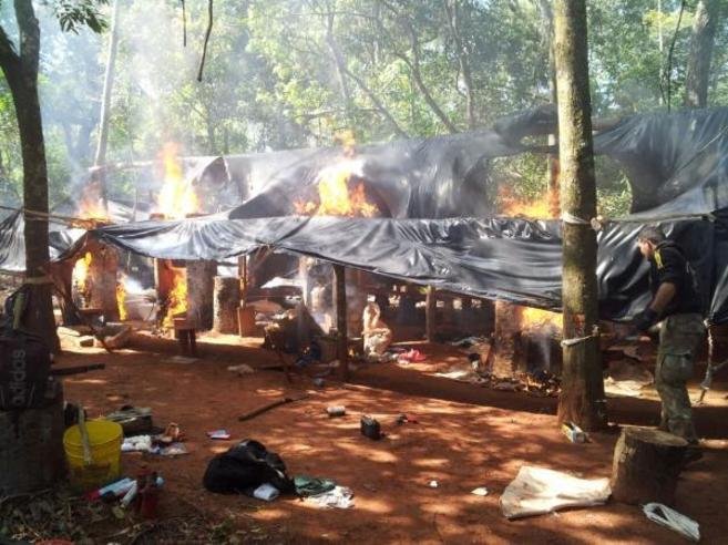 Decomisan 12 toneladas de marihuana en Paraguay