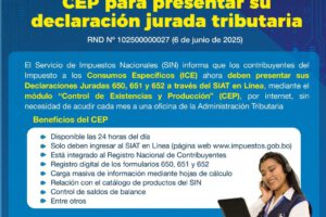 Infografía sobre el módulo digital CEP para Declaraciones Juradas ICE