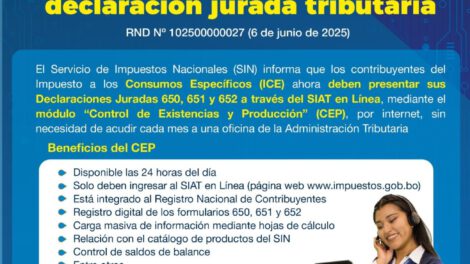 Infografía sobre el módulo digital CEP para Declaraciones Juradas ICE