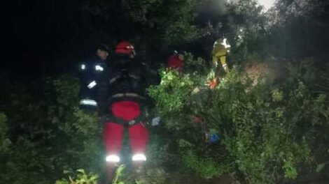 Accidente de tránsito en los Yungas deja tres muertos