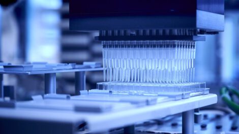 Plástico en paracetamol con bacterias modificadas