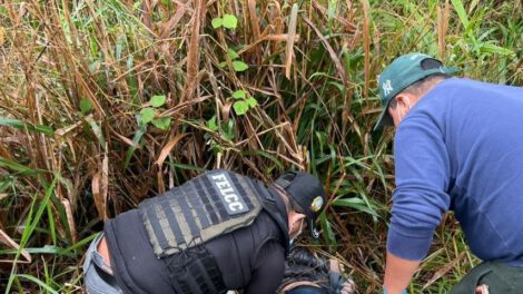 Hombre hallado sin vida en la carretera entre Santa Cruz y Cochabamba
