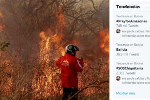 Incendios en la Amazonía brasileña