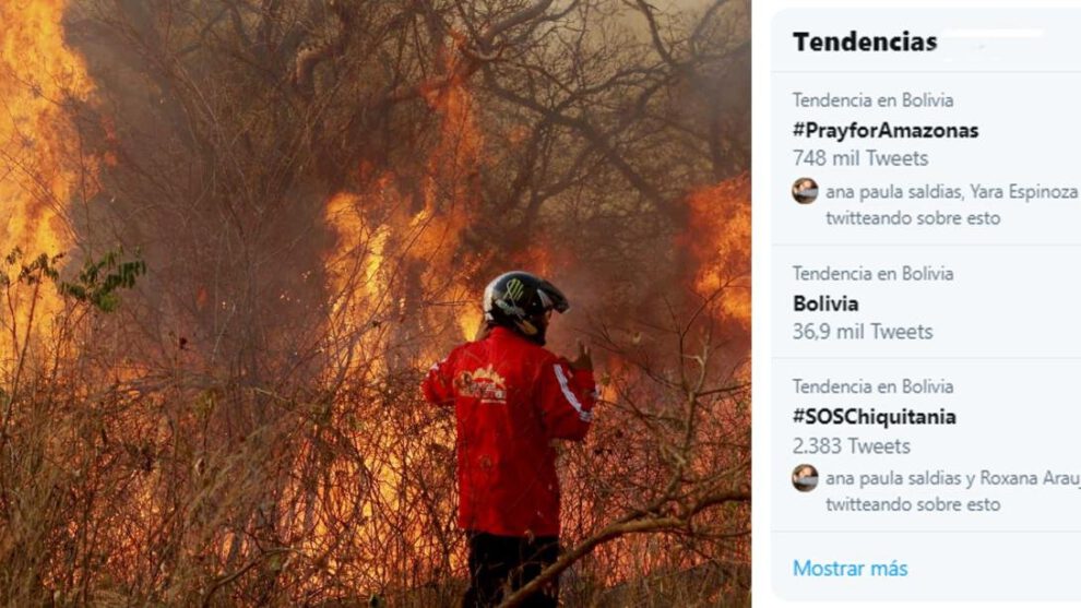Incendios en la Amazonía brasileña