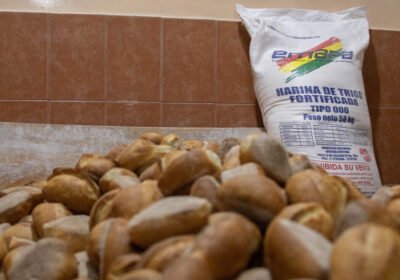 retraso en entrega de harina por parte de Emapa