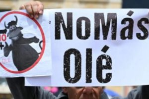 Protestas en el Día Mundial Antitaurino