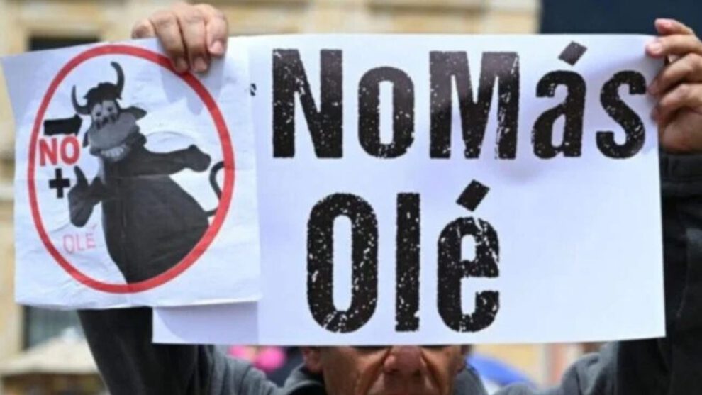 Protestas en el Día Mundial Antitaurino