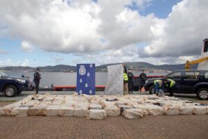 Impacto ambiental del narcotráfico según la ONU