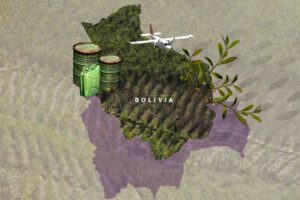 Narcotráfico en Bolivia según la ONU