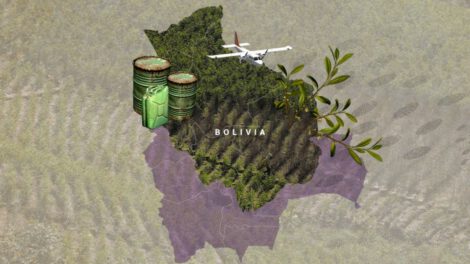 Narcotráfico en Bolivia según la ONU