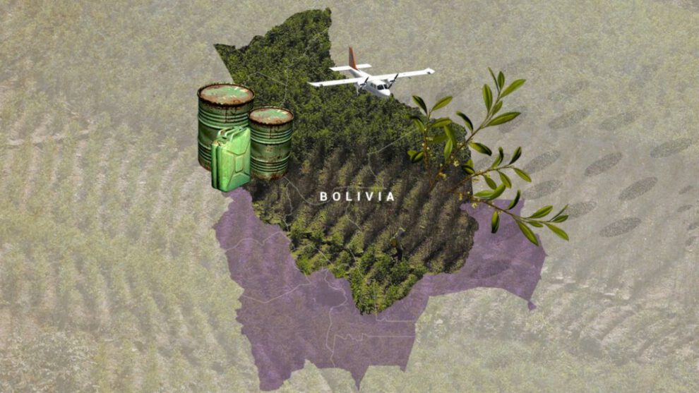 Narcotráfico en Bolivia según la ONU