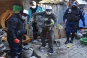 Rescatan 20 animales en albergue clausurado en La Paz