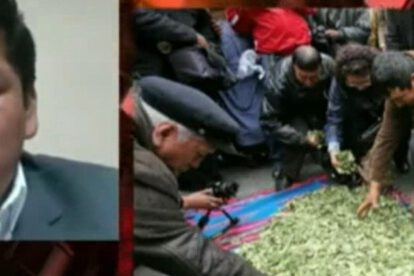 Erradicación de coca en Bolivia