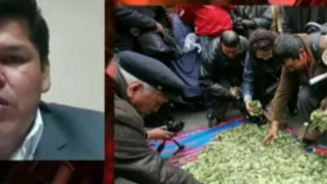 Erradicación de coca en Bolivia
