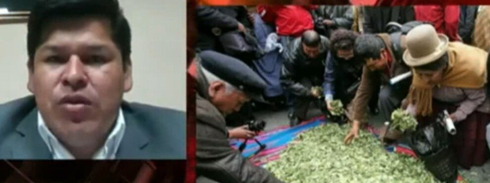 Erradicación de coca en Bolivia