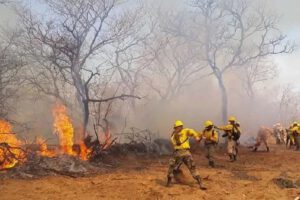 Crisis ambiental en Bolivia