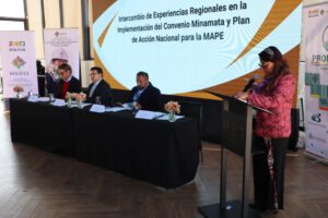 foro sobre el mercurio en la minería del oro