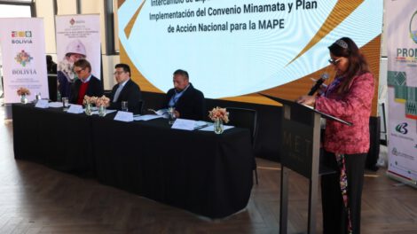 foro sobre el mercurio en la minería del oro