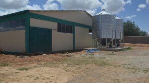 Planta procesadora de tallarín de maíz en Toco