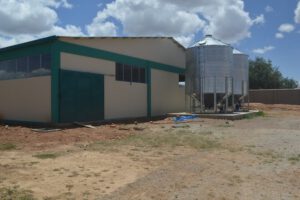 Planta procesadora de tallarín de maíz en Toco