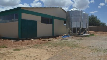 Planta procesadora de tallarín de maíz en Toco