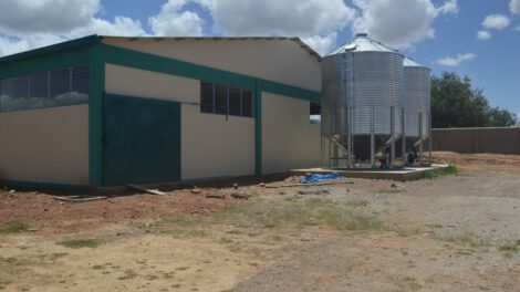 Planta procesadora de tallarín de maíz en Toco