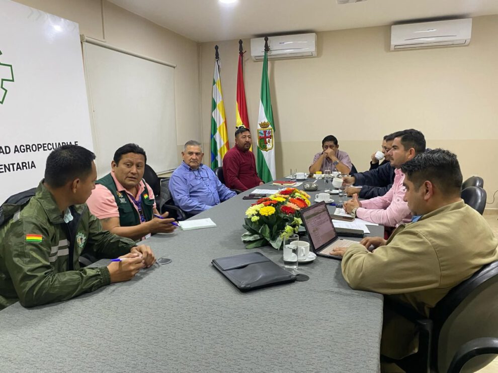 exportación de charque de llama a EE.UU.