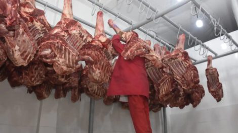 Exportación de carne a Chile