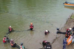 Rescate de bufeos de río en Santa Cruz