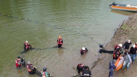 Rescate de bufeos de río en Santa Cruz