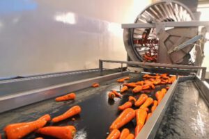 Planta Procesadora de Zanahoria de Sorocachi