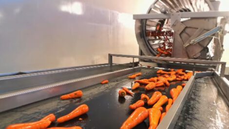 Planta Procesadora de Zanahoria de Sorocachi