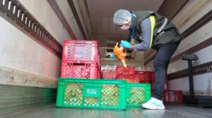 CEO-LCC incauta alimentos básicos en operativos fronterizos
