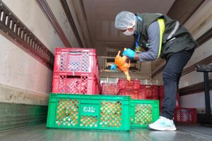 CEO-LCC incauta alimentos básicos en operativos fronterizos