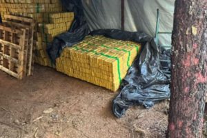 Marihuana incautada en Brasil en operativo policial