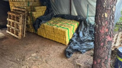 Marihuana incautada en Brasil en operativo policial