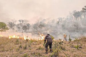 Incendios forestales en Bolivia