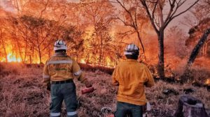 Desafíos ambientales en la producción agropecuaria