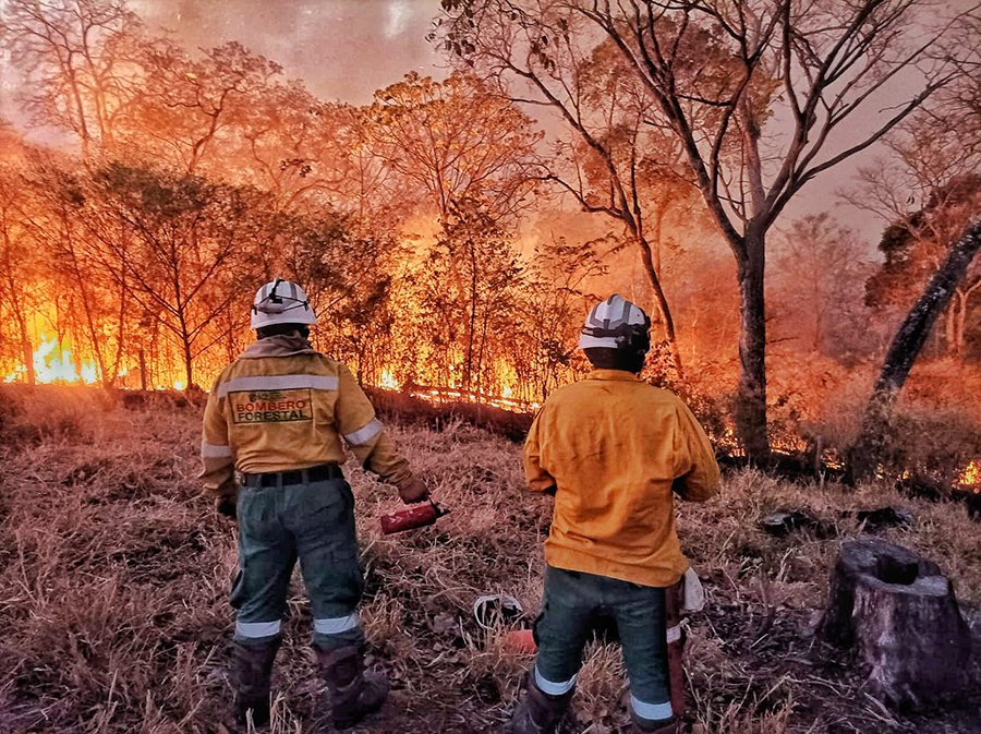 Desafíos ambientales en la producción agropecuaria