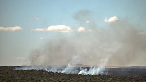 Incendios en la Amazonía brasileña