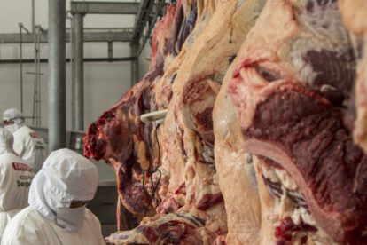 exportación de carne a Chile
