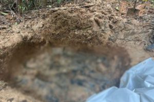 Hallan ocho cuerpos en fosa común en Colombia