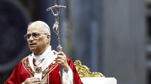Deterioro de la naturaleza según el Papa León XIV