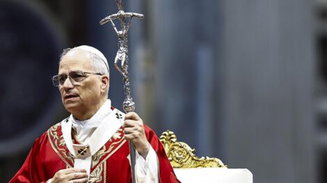 Deterioro de la naturaleza según el Papa León XIV