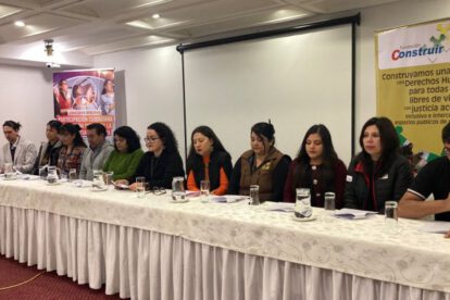 observación electoral ciudadana en Bolivia