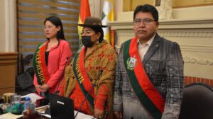 Lourdes Chambilla ratificada como presidente del Concejo Municipal de La Paz