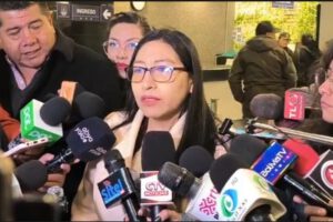 Bloqueo de leyes importantes por la diputada Olivia Guachalla