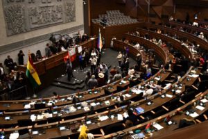 Agresiones en la Cámara de Diputados durante votación del contrato de litio