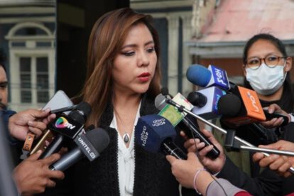 Contratos de litio: Viceministra Alcón considera que se pueden perder oportunidades